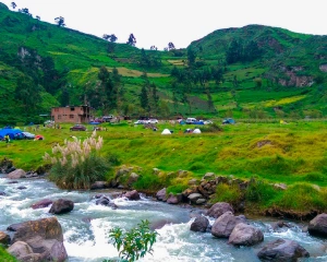 Mauris ipsum magna, faucibus vitae mauris et, euismod feugiat purus.